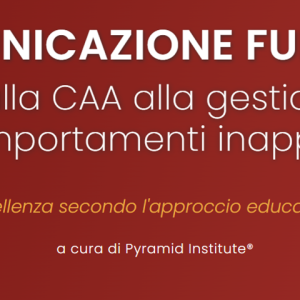AF PYRAMID - Percorso completo Mod 1 + Mod 2 - Senza ECM - ed. 2024